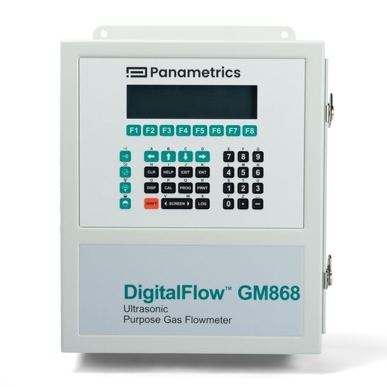 Panametrics DigitalFlow™ GM868