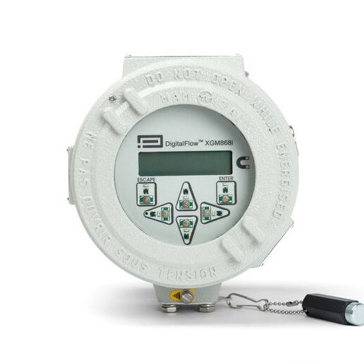 Panametrics DigitalFlow™ GM868